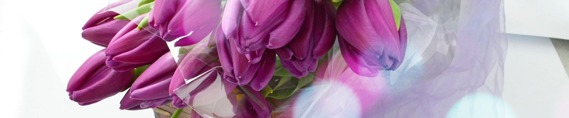 bos paarse tulpen